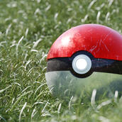 Pokémon